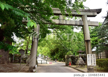 伏見区 藤森神社の南門鳥居と新緑 伏見区 藤森神社の南門鳥居と新緑 104665441