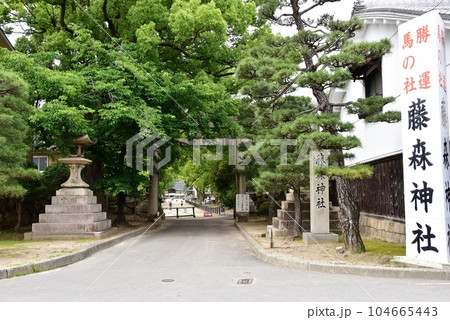 伏見区 藤森神社の南門鳥居と新緑 伏見区 藤森神社の南門鳥居と新緑 104665443