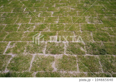 庭に芝生を張る 目地張り 庭に芝生を張る 目地張り 104665640