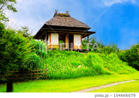 初夏の梅の茶屋 104666079