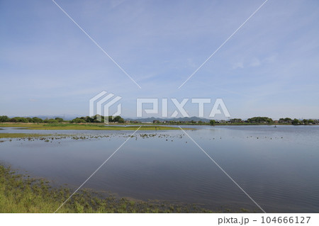 群馬県邑楽郡邑楽町の多々良沼の春の風景 群馬県邑楽郡邑楽町の多々良沼の春の風景 104666127