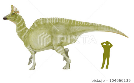 オロロティタン　斧型の鶏冠状突起を持つランベオサウルス亜科の大型ハドロサウルス類 104666139
