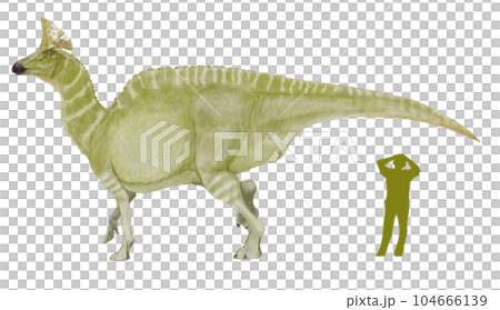 Olorotitan A large hadrosaurus of the subfamily Lambeosaurus with an ax-shaped crest 104666139