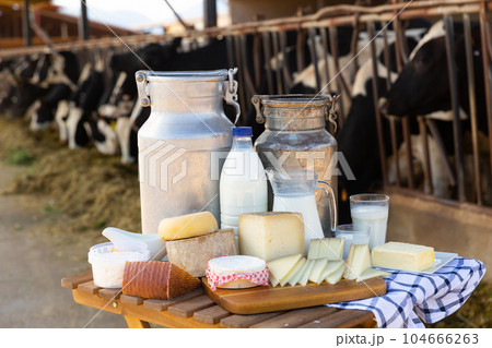 Image of dairy products on the farm 104666263