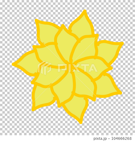 flower crown of thorns flower crown of thorns 104666268