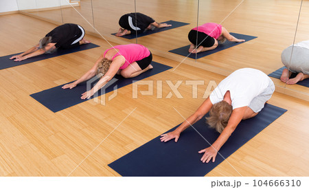 Group of mature women making relaxing asana Balasana in fitness studio 104666310