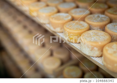 Matured cheese wheels on shelves in cheese dairy 104666341