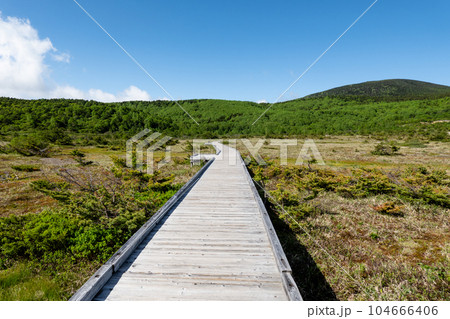 浄土平「浄土平湿原」 in 福島県福島市 104666406