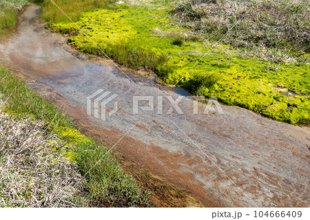 浄土平「浄土平湿原」 in 福島県福島市 104666409