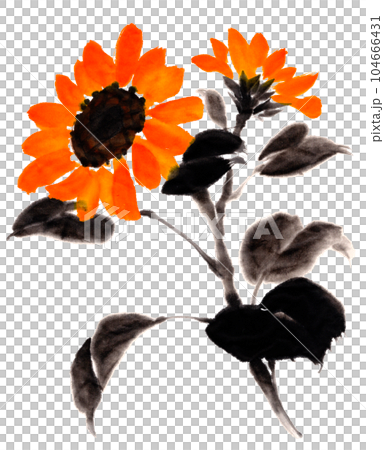 Sunflower drawn with ink painting technique 104666431