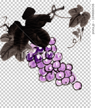 水墨画技法で描いた簡単な葡萄のイラスト素材 [104666436] - PIXTA