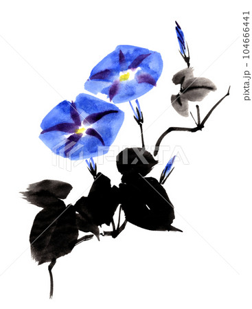 水墨画技法で描かれた簡単な朝顔のイラスト素材 [104666441] - PIXTA