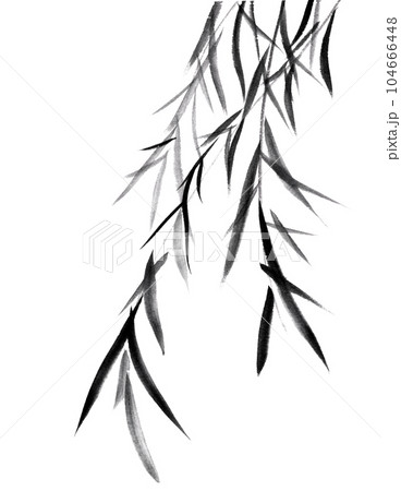 水墨画技法で描いた柳の木 水墨画技法で描いた柳の木 104666448
