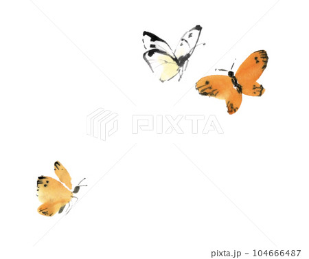水墨画技法で描いたモンキチョウ 104666487
