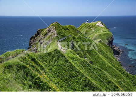 積丹ブルーと神威岬 104666659