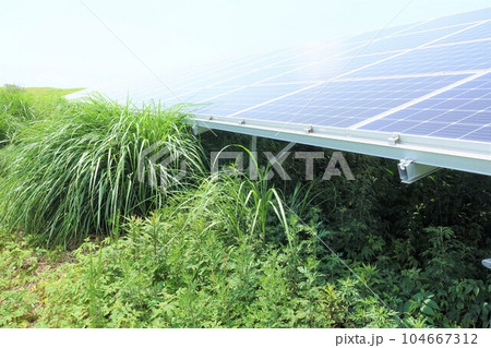 雑草に囲まれた太陽光発電所 104667312