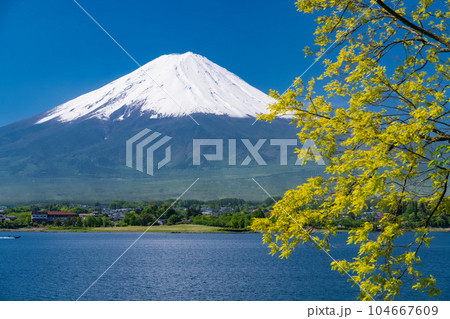 《山梨県》初夏大冠雪の富士山・河口湖湖畔の眺め 104667609