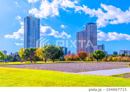 難波宮跡公園とタワーマンション 104667715
