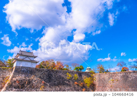大阪城公園の紅葉 104668416