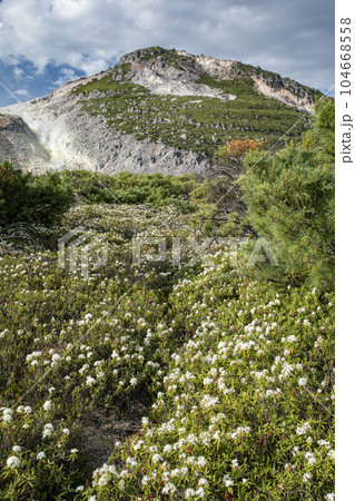 硫黄山とエゾイソツツジ 104668558