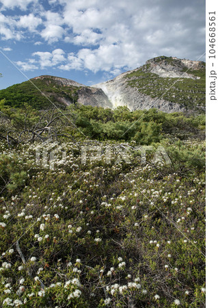 硫黄山とエゾイソツツジ 硫黄山とエゾイソツツジ 104668561