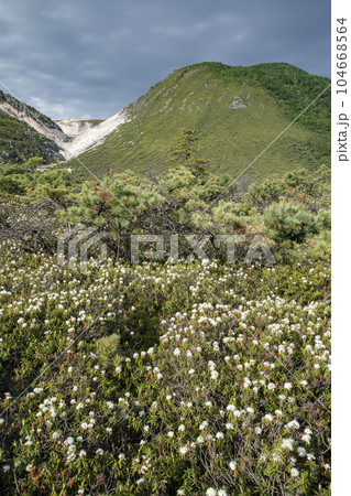 硫黄山とエゾイソツツジ 硫黄山とエゾイソツツジ 104668564