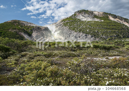 硫黄山とエゾイソツツジ 104668568