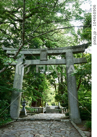 糸島・櫻井神社の緑に覆われた鳥居 糸島・櫻井神社の緑に覆われた鳥居 104668906