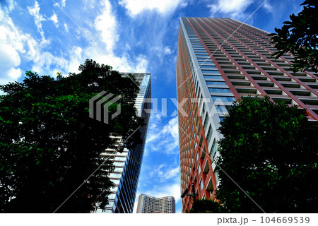 芝浦アイランドの超高層ビル群の風景 104669539