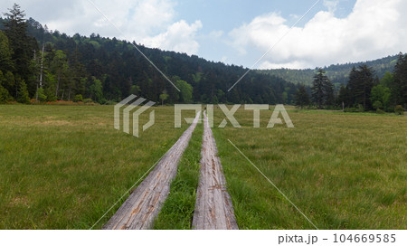 尾瀬湿原をまっすぐ伸びる木道 尾瀬湿原をまっすぐ伸びる木道 104669585