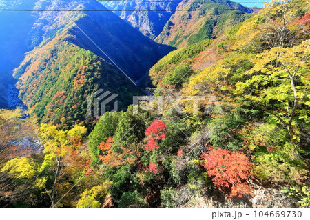 【徳島県】晴天の紅葉した（ひの字渓谷） 104669730