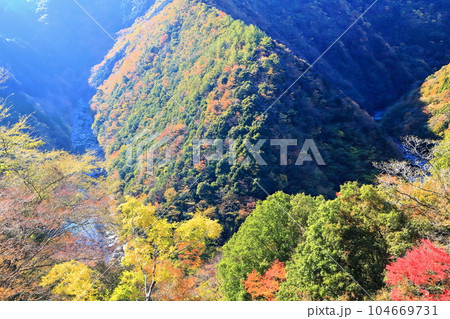 【徳島県】晴天の紅葉した(ひの字渓谷) 【徳島県】晴天の紅葉した(ひの字渓谷) 104669731