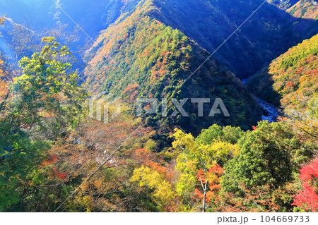 【徳島県】晴天の紅葉した（ひの字渓谷） 104669733
