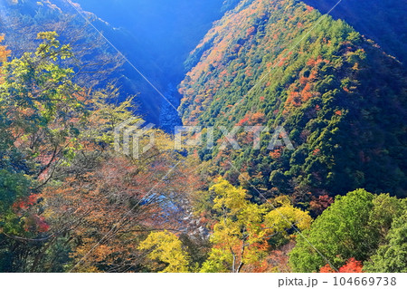 【徳島県】晴天の紅葉した(ひの字渓谷) 【徳島県】晴天の紅葉した(ひの字渓谷) 104669738