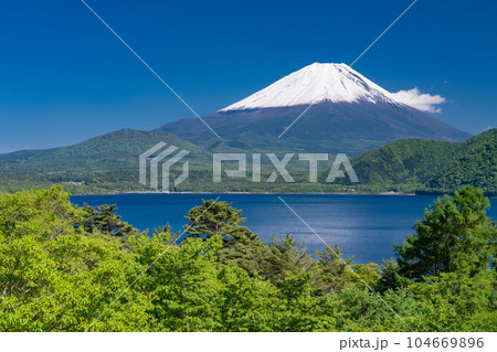 《山梨県》初夏の富士山・新緑の本栖湖 104669896