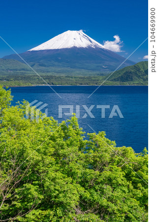 《山梨県》初夏の富士山・新緑の本栖湖 104669900