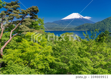 《山梨県》初夏の富士山・新緑の本栖湖 104669911
