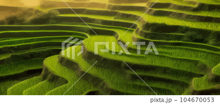 Terraced plantation poster Chinese rice fields 104670053
