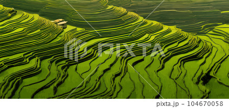 Terraced plantation poster Chinese rice fields 104670058