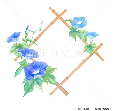 アサガオと竹格子のフレームの水彩イラスト。夏のタイトルや見出しの装飾デザイン。 アサガオと竹格子のフレームの水彩イラスト。夏のタイトルや見出しの装飾デザイン。 104670067