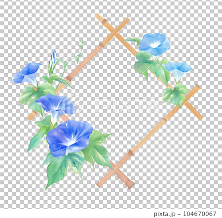 Watercolor illustration of morning glory and bamboo lattice frame. Summer title or headline decoration design. 104670067