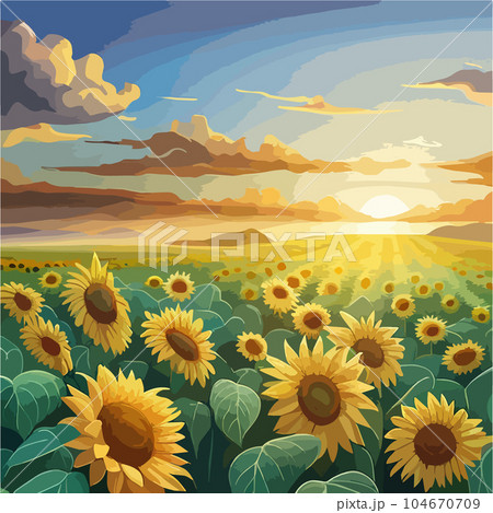 Vector illustration sunflower flower sunset rural landscape with golden Vector illustration sunflower flower sunset rural landscape with golden 104670709