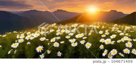 Vector illustration white chamomile flowers and grass on hills, against Vector illustration white chamomile flowers and grass on hills, against 104671409