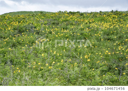 尻羽岬の帆掛岩 104671456