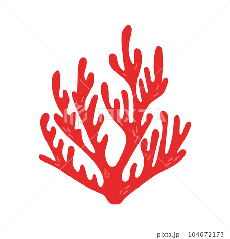 Aquarium, ocean and undersea life.  104672173
