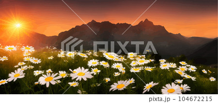 Summer landscape field daisies against backdrop mountains. Wild nature with sky Summer landscape field daisies against backdrop mountains. Wild nature with sky 104672215