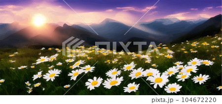 Summer landscape field daisies against backdrop mountains. Wild nature with sky 104672220
