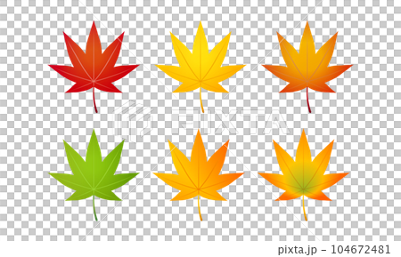 Autumn leaves Autumn leaves 104672481