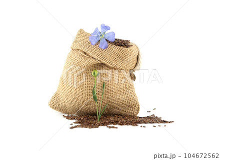 Linen seeds in a burlap bag and blue flax blossom 104672562