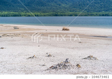 恐山 宇曽利山湖 極楽浜 恐山 宇曽利山湖 極楽浜 104673461